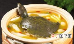 甲鱼汤的吃法 甲鱼汤怎么做