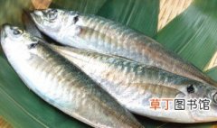 竹筴鱼的吃法 关于竹筴鱼的吃法