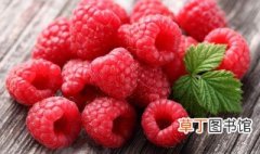 山莓的吃法 吃山莓的方法