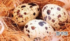 麻雀蛋的吃法 吃麻雀蛋的方法