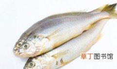 鱼籽的吃法 鱼籽的吃法介绍
