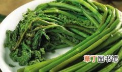 龙头菜的吃法 龙头菜的吃法介绍