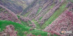 新疆各地最佳旅游时间详解 去新疆旅游的最佳时间是几月份