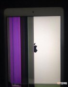 iPad闪屏跳动故障解决方法 ipad突然触屏失灵怎么办呀