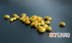 黄豆的种植技术及注意事项 黄豆如何种植