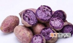 红薯白薯紫薯地瓜有什么不一样的 红薯白薯紫薯地瓜有什么区别