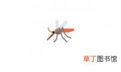 苍蝇蚊子怎么消灭 如何有效去除苍蝇和蚊子