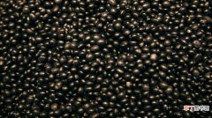 黑豆营养功效 黑豆的食用方式和注意事项!