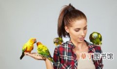 鸟的组词 鸟的组词有哪些