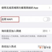 iPhone启用 WAPI的意思 启用wapi是什么意思
