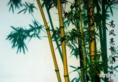 庭院种竹子的风水讲究介绍 家里养竹子风水上有什么讲究