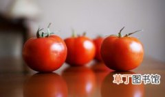 西红柿加什么炖汤最好，西红柿加什么做汤好吃