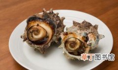 生腌花螺怎么做 腌花螺可以放多久
