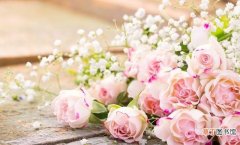 十二种代表爱情的鲜花 玫瑰花寓意着什么意思