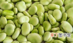 蚕豆什么时候种植最好 蚕豆什么时候种最适宜？