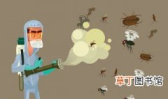 灭蟑螂最有效的方法是什么？，最简单有效的灭蟑螂方法有吗