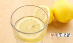 蜜蜂柠檬水的做法 蜜蜂柠檬水的做法介绍