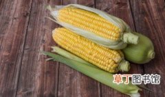 玉米一般几月份播种 玉米的播种 时间