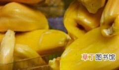 菠萝蜜的核水培方法 菠萝蜜的核水培方法是什么