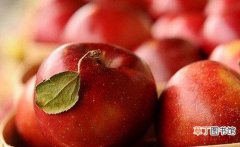 吃什么水果能够清热化痰