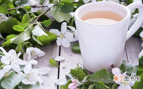 喝茶能减肥 教你轻松喝茶方法能减肥