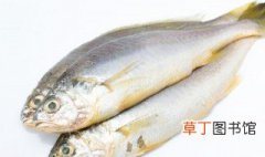 砂锅鱼头做法 砂锅鱼头怎么做