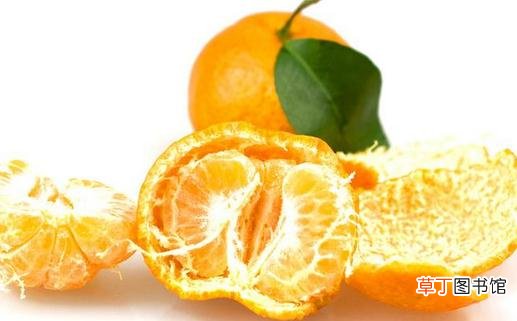 橘络有养生功效你知道吗