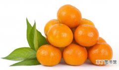 柑橘和红茶帮你预防卵巢癌