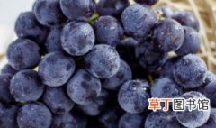 新鲜葡萄的保存方法 新鲜葡萄保存的方法