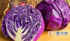 紫色菜有哪些 紫色菜介绍