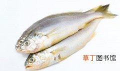 淡水鱼的养殖方法 淡水鱼养殖的方法