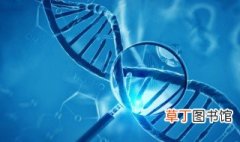 遗传信息与遗传密码有区别 遗传信息与遗传密码区别是什么