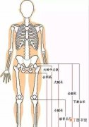 最新身高腿长测量一览表 女生身高与腿长对照表