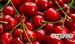 温性和热性水果有哪些 温性和热性水果介绍