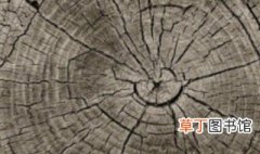 中国树木年轮密集的是哪个方向 中国树木年轮密集的是什么方向