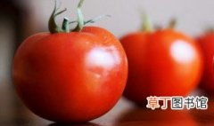 西红柿怎么吃 西红柿可以怎么吃