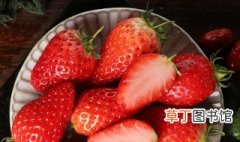 怎样种草莓 盆栽 草莓的简介