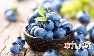 在家里怎么种蓝莓呢 在家里如何种蓝莓呢
