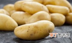 土豆怎么种植盆栽 怎么在家种植土豆