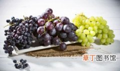 葡萄的品种有哪些? 葡萄有什么品种