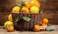 橘子籽怎么种植方法 橘子籽如何种植方法