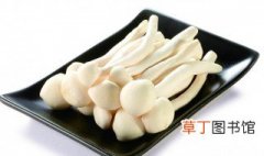 白玉菇煮多久熟 白玉菇煮多久可以熟