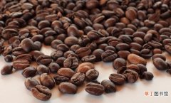 咖啡中度和深度的4个区别 深度烘焙咖啡和中度烘焙咖啡的区别