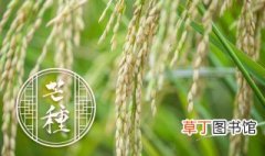 南方水稻施肥方法和用量 北方水稻施肥方法和用量