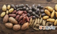 土豆施肥技术要点 土豆种植施肥技术