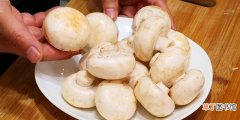 酱香口蘑特香的做法分享 口蘑菇怎么做好吃