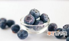 夏天蓝莓干怎么保存 如何在夏天保存蓝莓干