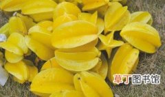 酸杨桃腌制方法步骤 怎么腌制酸杨桃