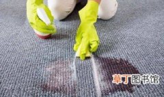 地毯怎么清洗去污渍 地毯怎么清洗