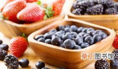选购野生蓝莓的技巧是什么 选购野生蓝莓的技巧有哪些